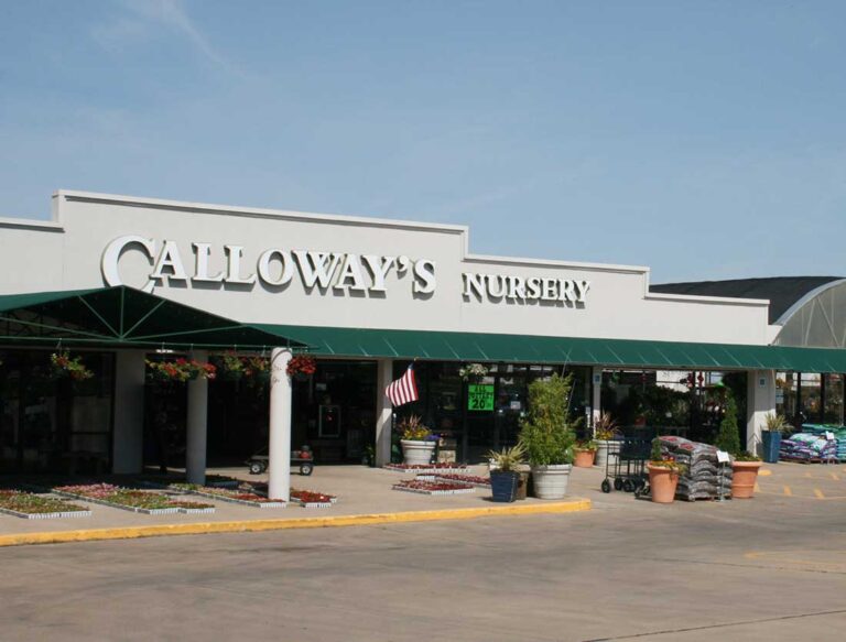 Fort Worth Shopping