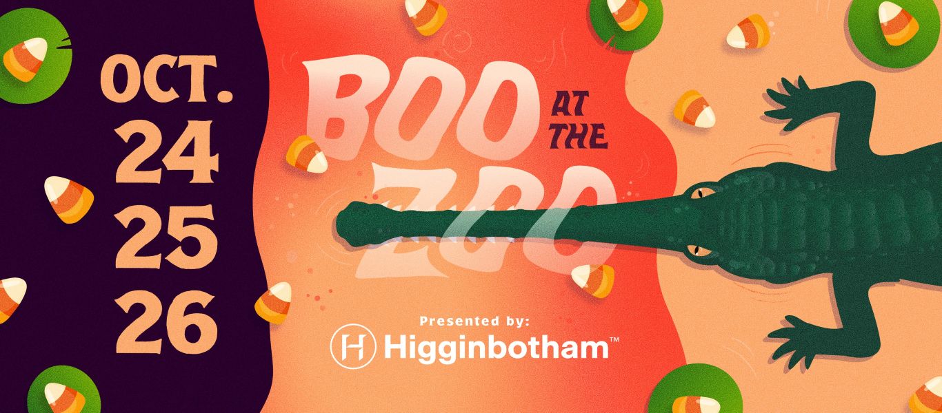 Boo in the Zoo