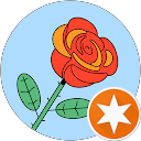 Lindsey profile picture