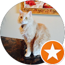 Stephanie Taylor profile picture