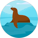 Ericka Camp profile picture