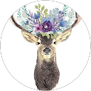 Adam K profile picture