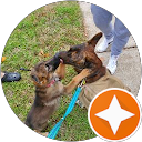 Rohan 96 profile picture