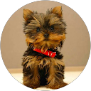 Maggie Johnson profile picture