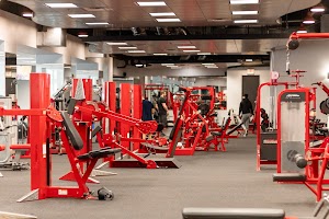 Vigor Active place picture