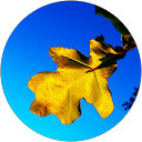 Adam Wood profile picture