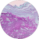 Nicole profile picture