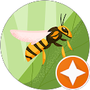 court clements fryman profile picture