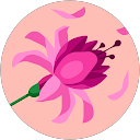 Megan Uvaney profile picture