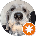 David H profile picture