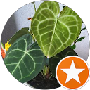 Jessie Fox profile picture