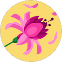 Kelly Villalpando profile picture