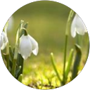 Izabella Paris profile picture