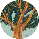 Trina Geter profile picture