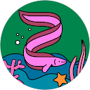 Ashlin Nowak profile picture